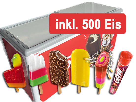 Langnese Eispaket 500