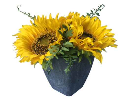 Sonnenblumen 6er Set 