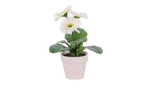 Gerbera-Kunstblumen Weiß 6er Set