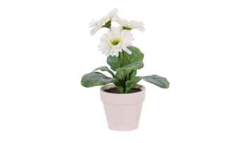 Gerbera-Kunstblumen Weiß 6er Set