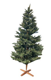 Weihnachtsbaum Nordmanntanne